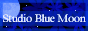 Studio Blue Moon